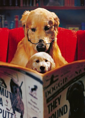 dogs-can-read