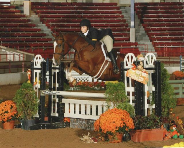 Ketzel, horseback riding