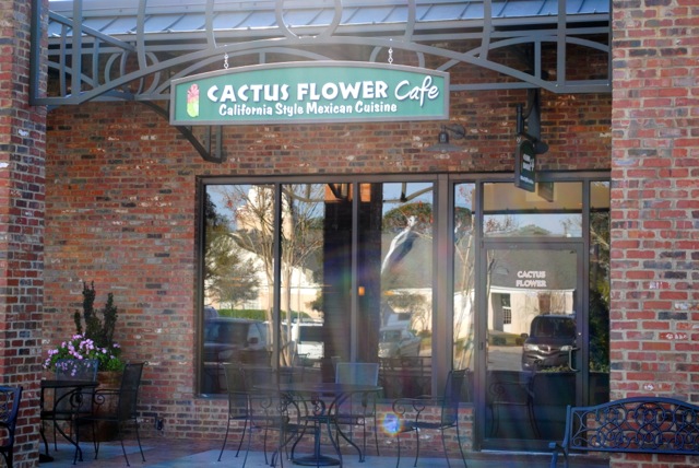 CactusFlower