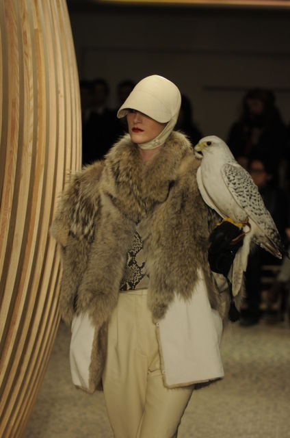 Here's how much clothing you should have on for this conversation. If you also have a falcon while you ask for more sex, please send me a picture. via Anton Oparin / Shutterstock.com