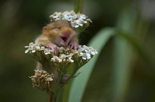 this is how it feels to be me incase you were wondering