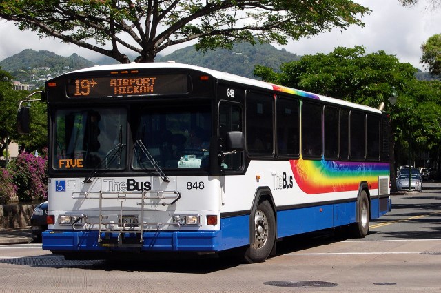 this bus is gay