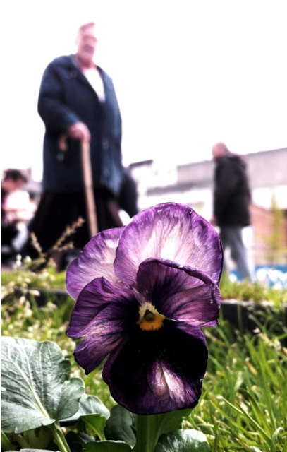 "can you feel me now, lad?" with beating, progress place, liverpool via the pansy project