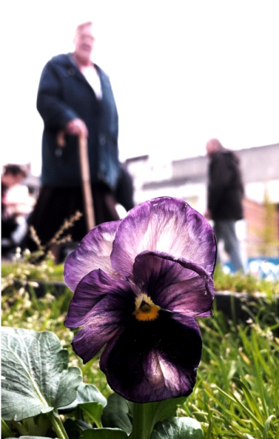 "can you feel me now, lad?" with beating, progress place, liverpool via the pansy project