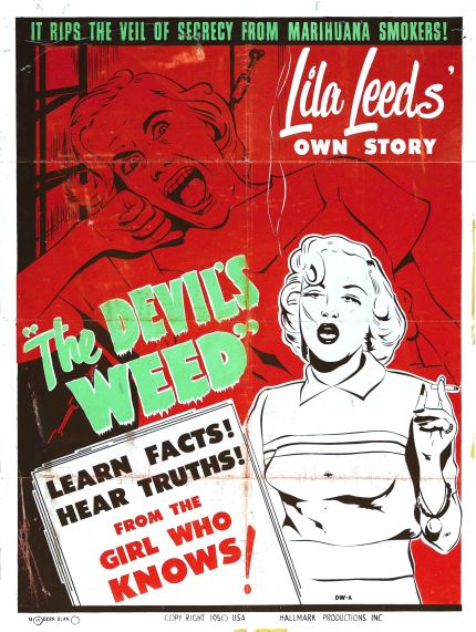 lila-leeds-weed-story