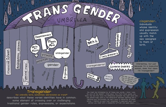 THE TRANS UMBRELLA {NOTE: GRAPHIC HAS BEEN UPDATED FROM ORIGINAL POST}