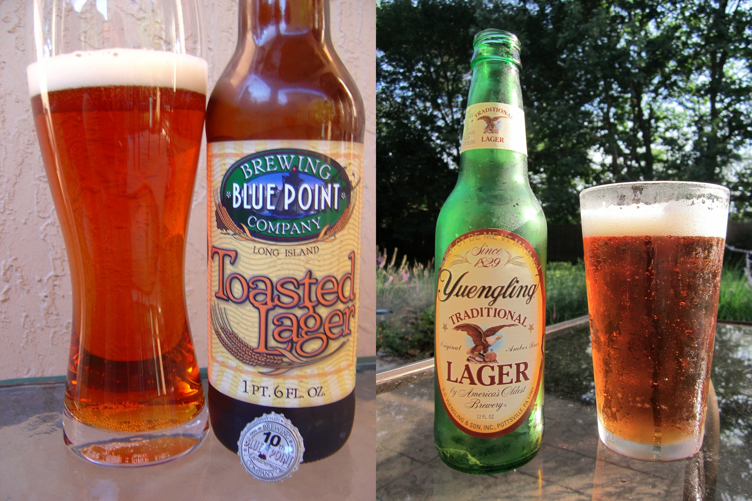 West Coast IPA for Budding Beer Enthusiasts