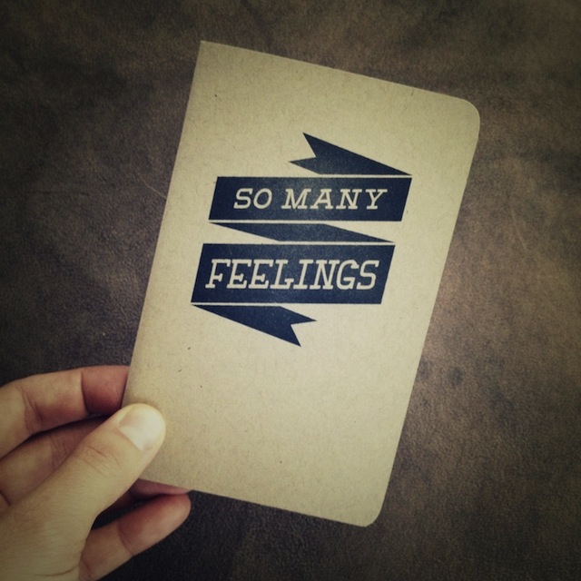 I would certainly not mind if my girlfriend were to buy me this very journal for my upcoming birthday. Ahem.