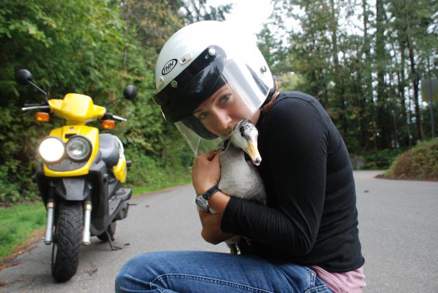 Dr. Jessica Meir holds a bar-headed goose. As part of her research, she raised a brood of twelve goslings since birth, a process called imprinting. Via The Story.