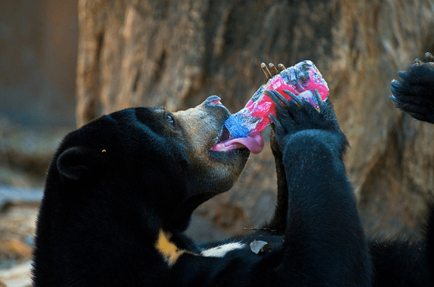 HYDRATION IS REALLY IMPORTANT, ESPECIALLY AT ALTITUDE.