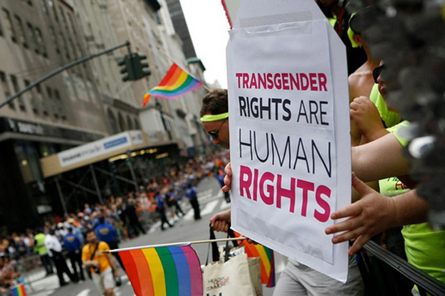 transgender rights are human rights