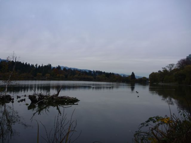 Stanleypark3