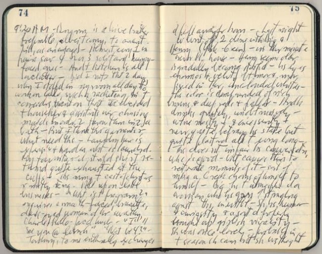 The man who owned this journal apparently had “famously illegible