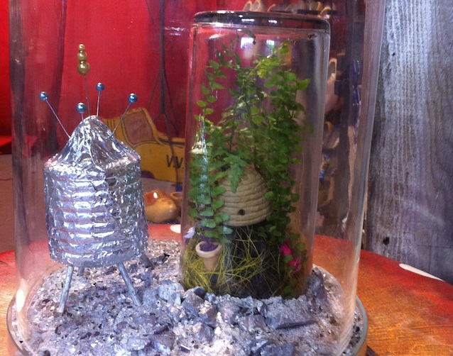 Harry Potter Terrarium With Figurines Cactus/succulents/vase 