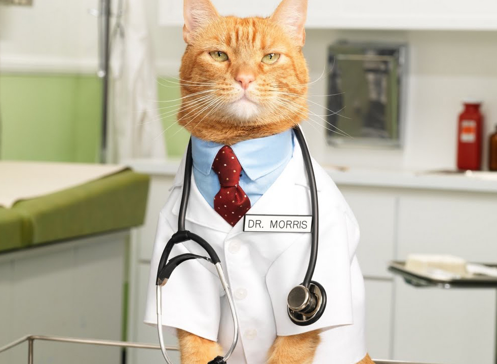 It s A Brave New World of Obamacare Here s How To Live In It s A Brave New World of Obamacare Here s How To Live In
