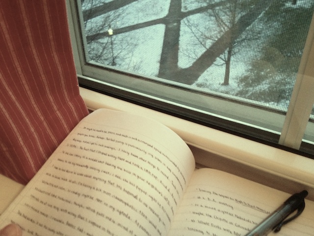 My journal poses seductively with the winter scenery