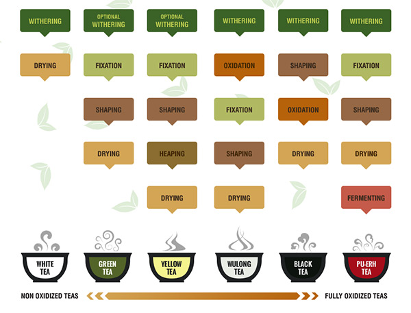 Chinese_Teas_Facts_about_Tea_Processing