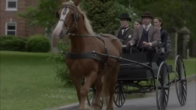 90% of this movie's budget was spent on horses and carriages.