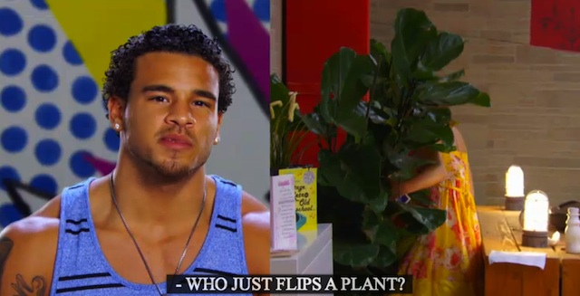 flips a plant