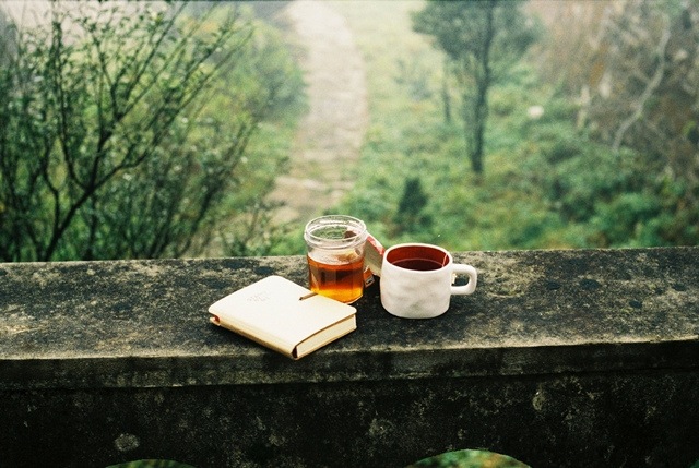 There's nothing like an artistically posed mason jar to make my imagination soar. (Via Pretty Books) 