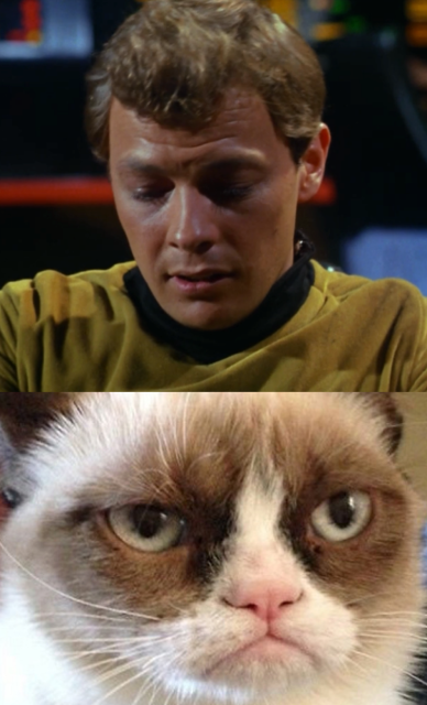 Of course, this lack of sympathy turns Bailey into a massive Grumpy Cat.