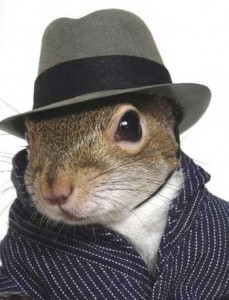 business squirrel