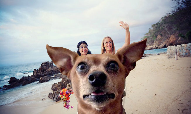 lesbian beach photobomb dog