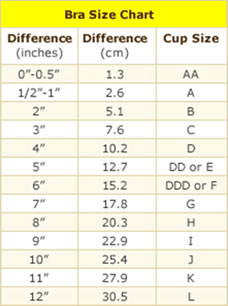 Universal Bra Size Chart