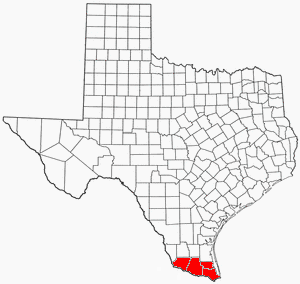 texasrgv