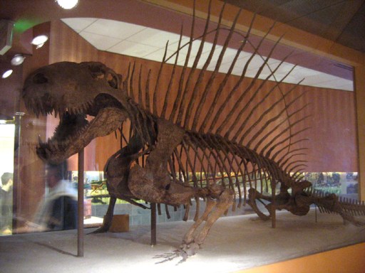 via fossilmuseum.net