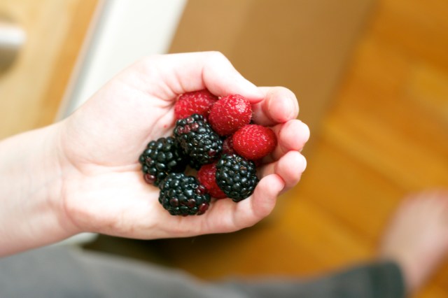 berries_in_hand