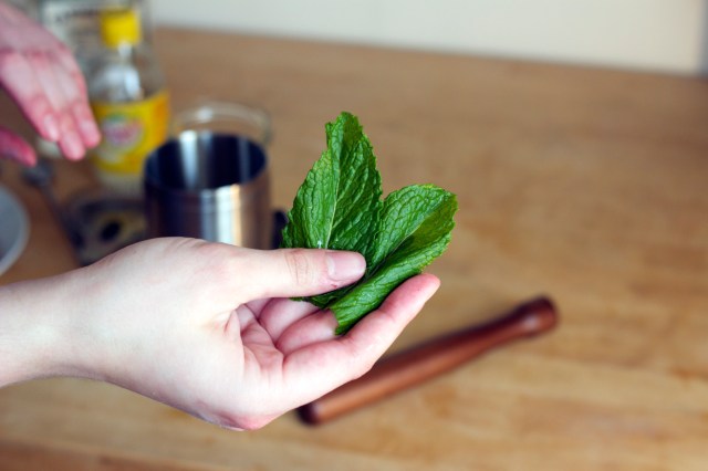 mint_leaves