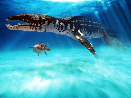 Liopleurodon via carnivoraforum