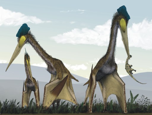 What even is that?!?! (It's a Quetzalcoatlus) via about.dinosaurs.com