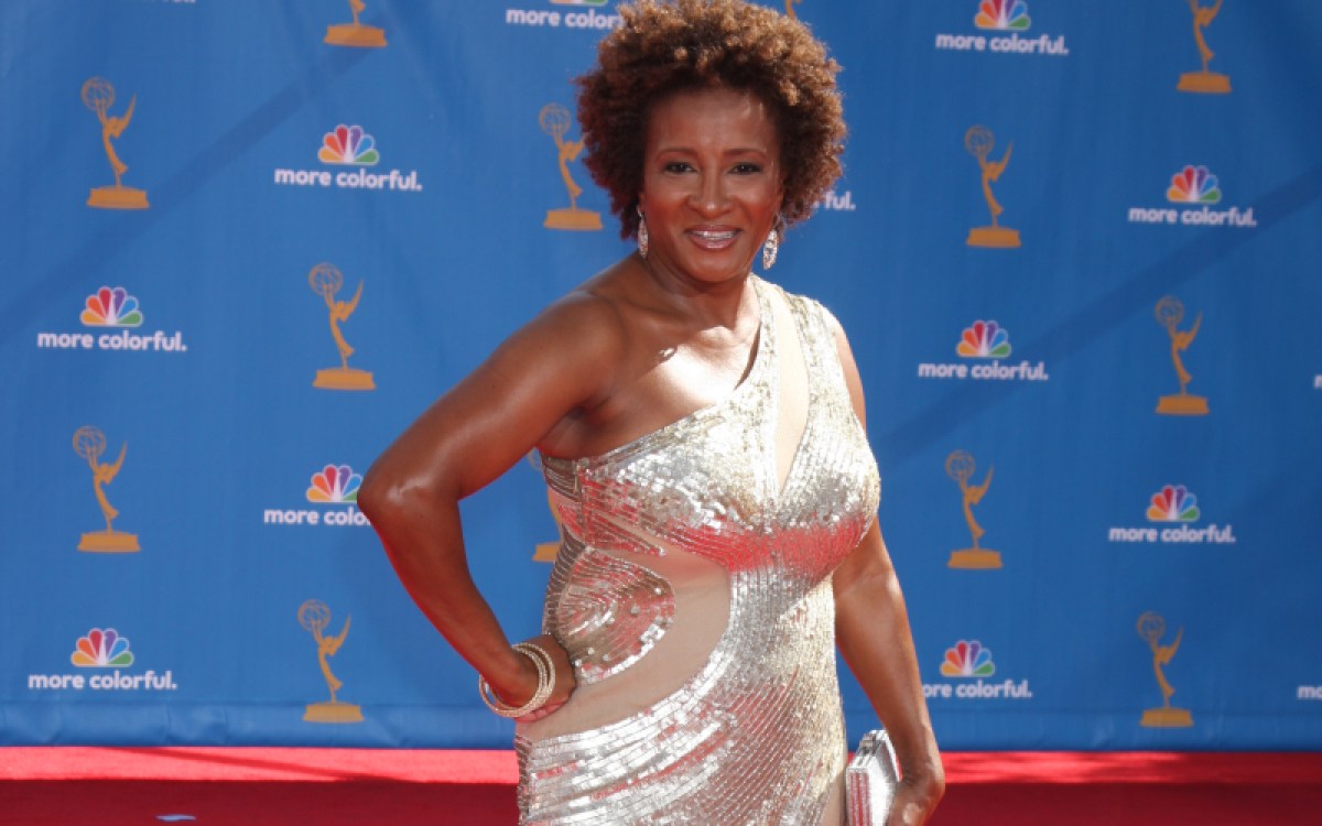 LOS ANGELES - AUG 29: Wanda Sykes arrives at the 2010 Emmy Awards at Nokia Theater at LA Live on August 29, 2010 in Los Angeles, CA. She came out as a late in life lesbian.