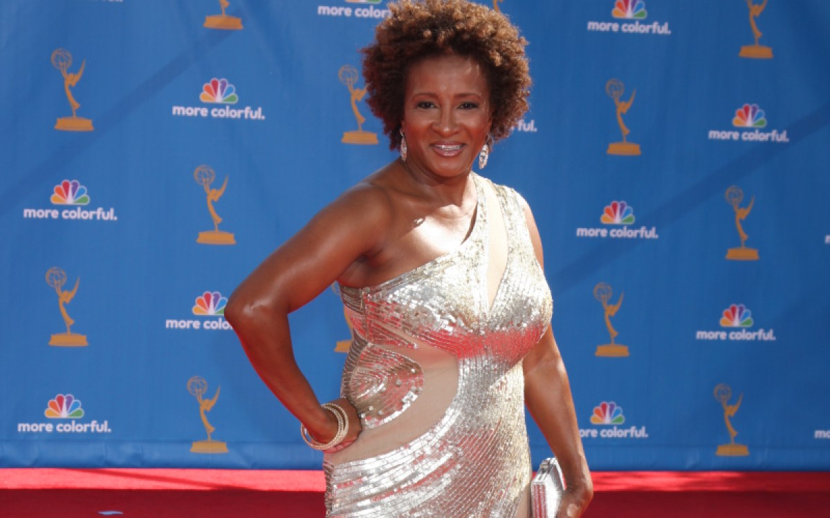 LOS ANGELES - AUG 29: Wanda Sykes arrives at the 2010 Emmy Awards at Nokia Theater at LA Live on August 29, 2010 in Los Angeles, CA. She came out as a late in life lesbian.