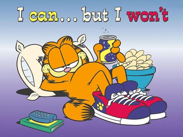 comic-strip-stripes-garfield-on-lazy-cat-the-with-122124