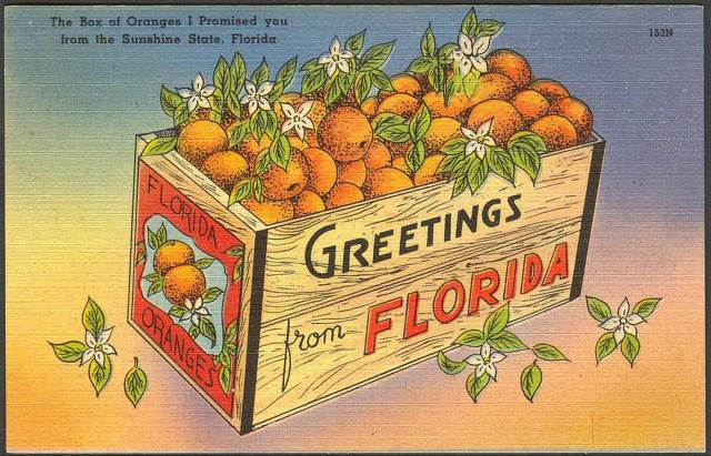 florida postcard