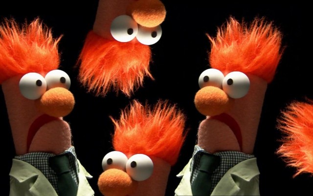 orange puppet from muppets