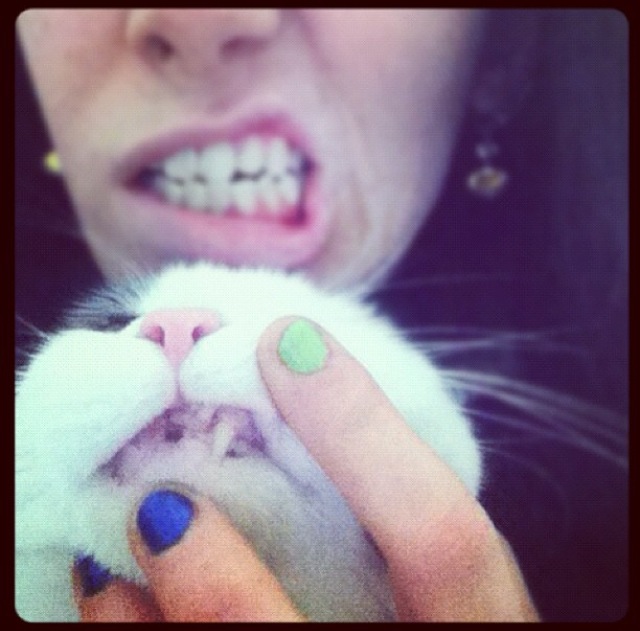 Autostraddle Music Editor Stef Schwartz and her cat Scully say CLEAN YOUR TEETH!