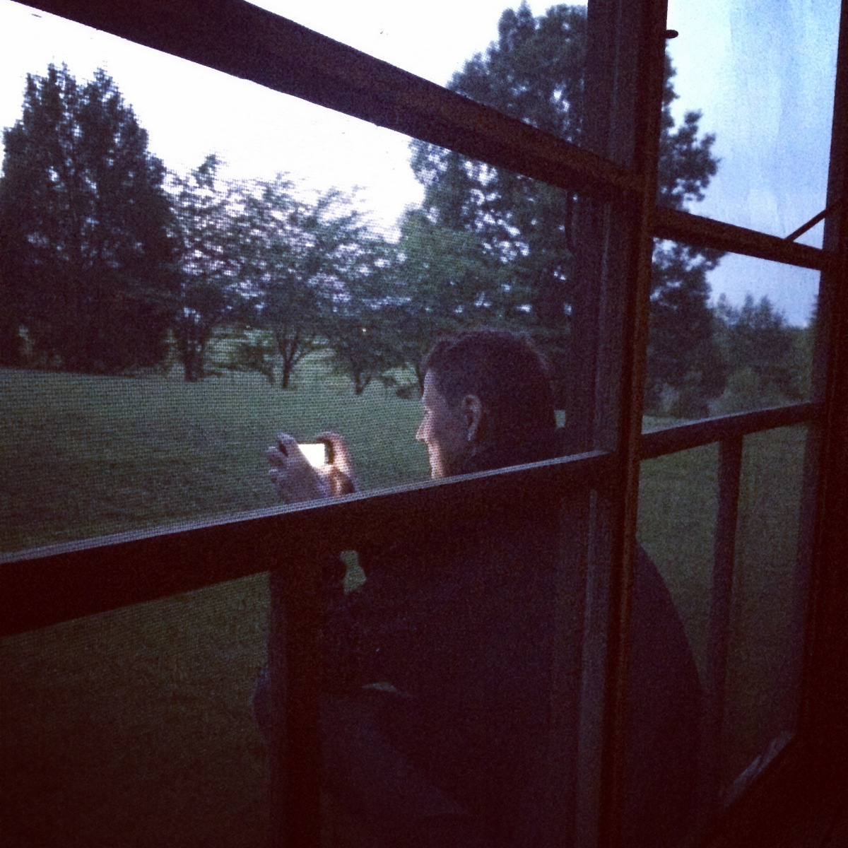 fireflies