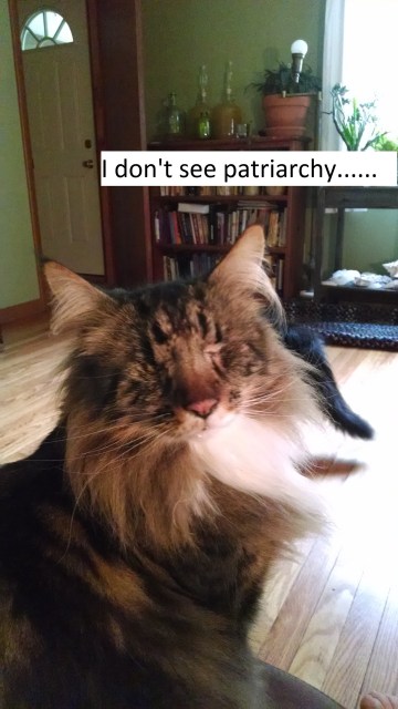i-dont-see-patriarchy
