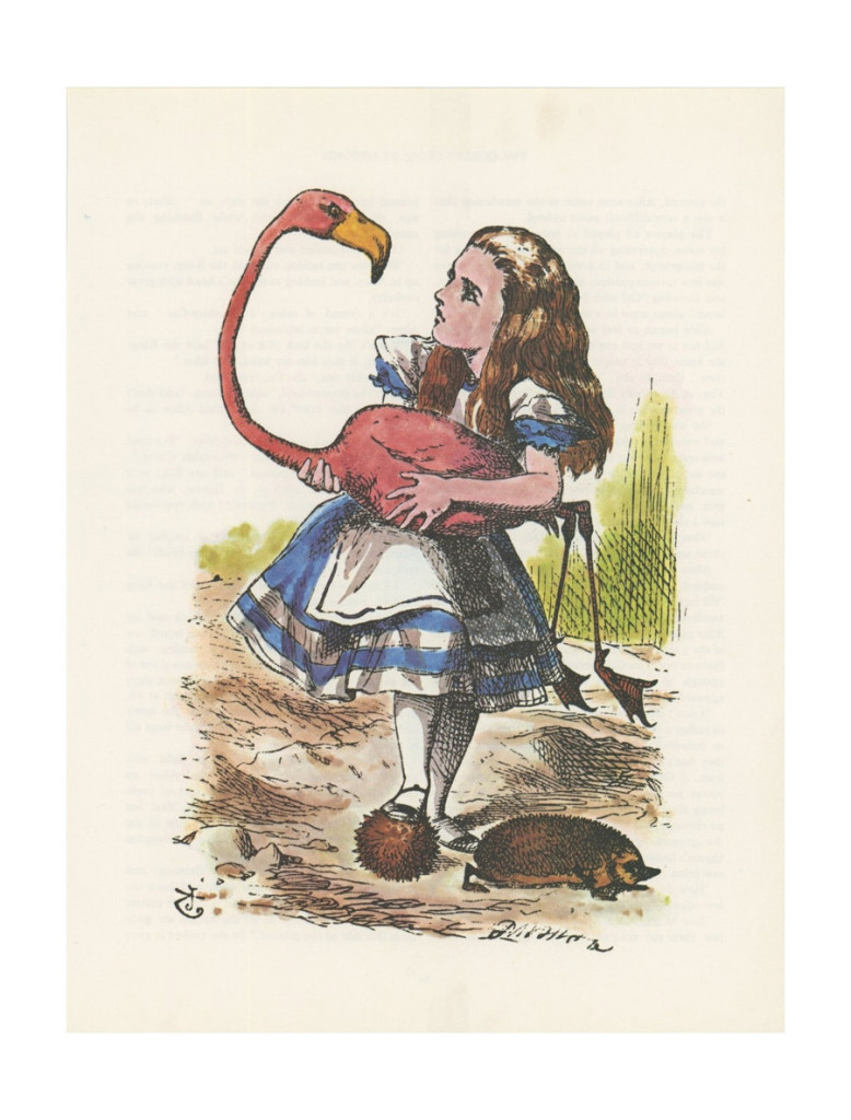 ok so it's like, imagine alice is holding a wombat and instead of playing croquet, the name of the game is wom. get it?? WOM.