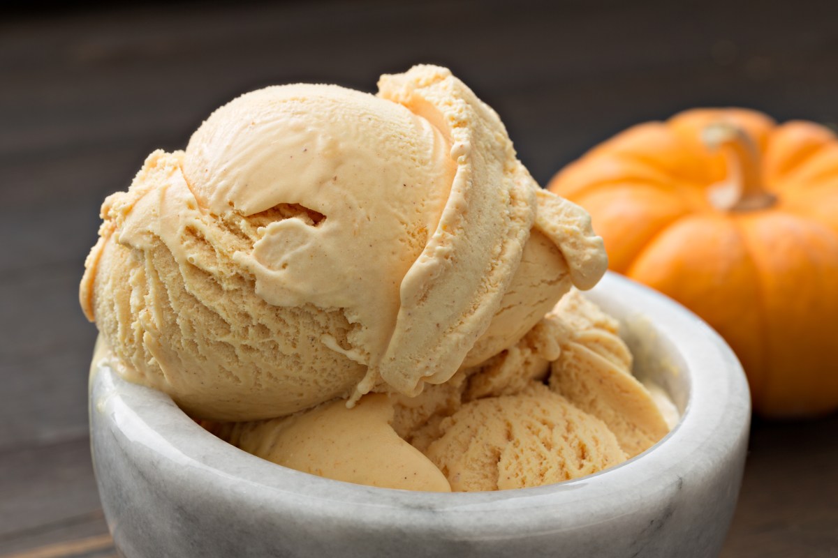 A close up, horizontal photograph of a scoop of pumpkin ice cream in a bowl, a small pumpkin is sitting next to the dessert.