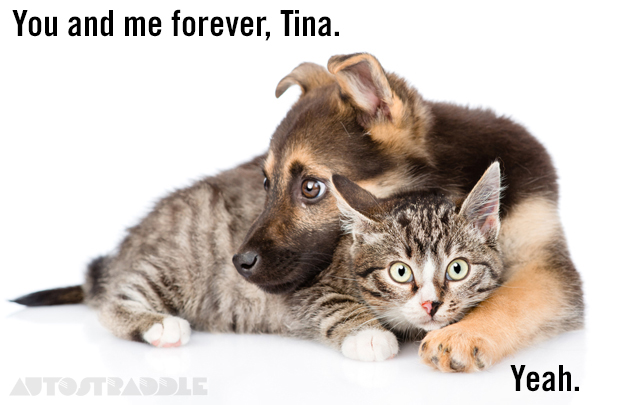 TLW-CATS-14