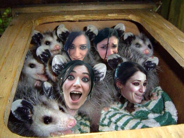 Me: "Can you turn this box of rodents into Stef possums?"  Intern Raquel: "Yes I can."