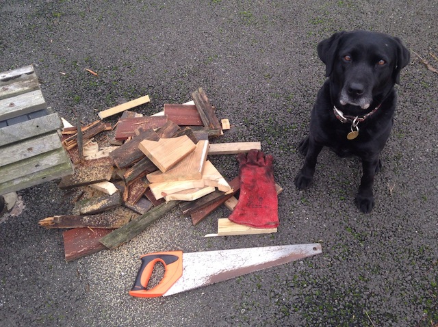 Billie's special job is to find waste wood on nearby building sites and saw it up.