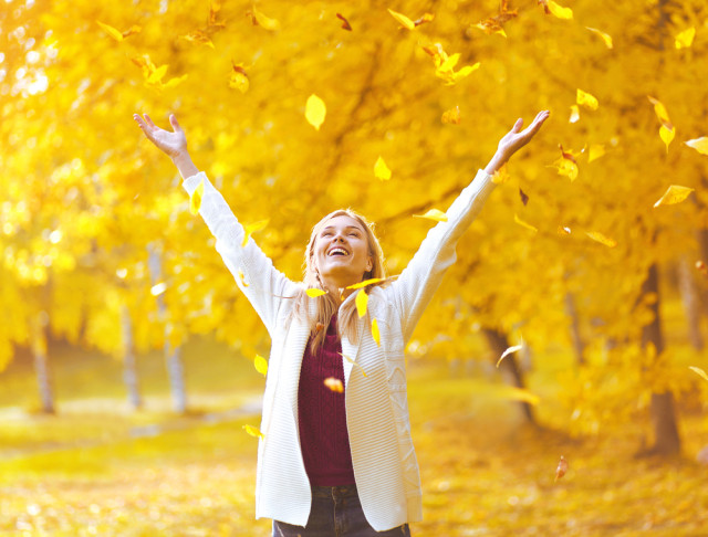 I want to hug EVERY leaf, but I know I need to prioritize the three most important leaves if I want to use my time effectively.