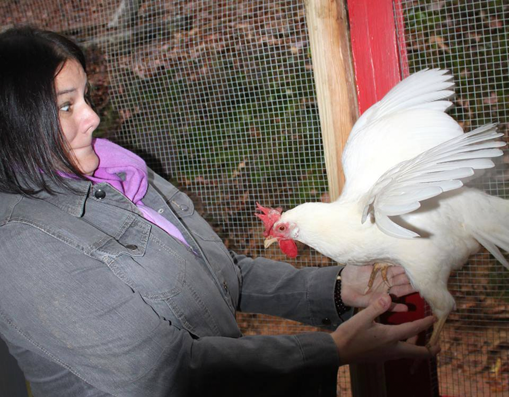 jennchicken