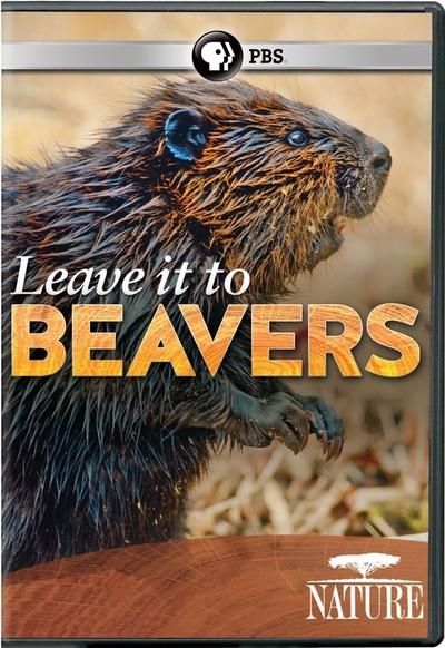 leave-it-to-beavers